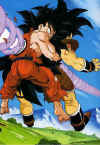 Goku Radis.jpg (37466 byte)