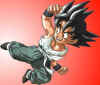 Goku calcio volante.jpg (37720 byte)
