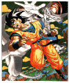 Goku vs Freezer.gif (55036 byte)