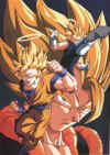 dbz024.jpg (98684 byte)