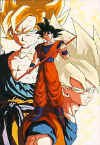 dbz033.jpg (57049 byte)