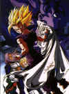 dbz035.jpg (49026 byte)