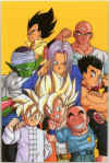 dbzgruppo.jpg (44323 byte)