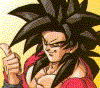 goku91.gif (40524 byte)