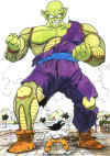 piccolo.jpg (53057 byte)