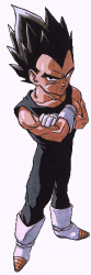 vegeta.gif (38785 byte)